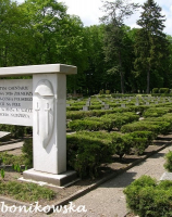 Cmentarz wojenny - część cmentarza komunalnego