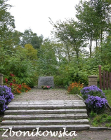 Żabin, dawny cmentarz