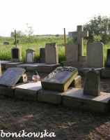 lapidarium - cmentarz wiejski