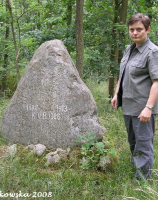 dla porównania wysokości