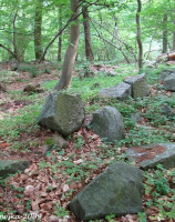 Cmentarz rodzinny w lesie