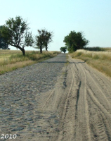 Droga z Dyszna do Krężelina