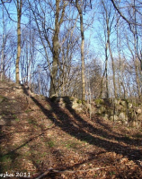 Pozostałości ruin zamku średniowiecznego