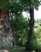 Ruiny zamku Wedlów.