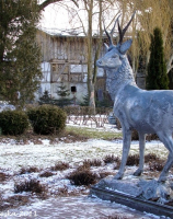 Pomnik jelenia ufundowany w okresie międzywojennym. 