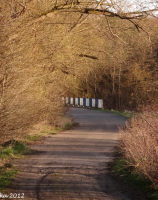 105. Borzęcin, most lokalnej drogi (28,6 km)