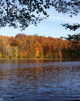 1A Jezioro Krzywe (185,5 km), pow. ok. 11 ha