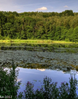 1. Jezioro Krzywe