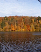 1A. Jezioro Krzywe