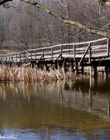 74. Głusko, drewniany most na Drawie