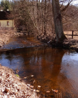 Drawa, widok z mostu