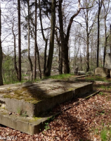 Cmentarz rodowy von Osten-Fabeck