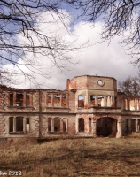 Rożnowo Łobeskie, ruina pałacu z XIX w.