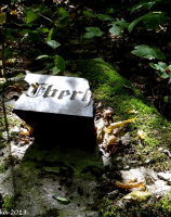 Tyczewo, jedyne pozostałości nagrobków na cmentarzu w lesie