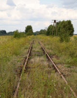 Żabin, linia nr 410 Grzmiąca - Kostrzyn