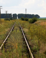 Żabin, linia nr 410 Grzmiąca - Kostrzyn