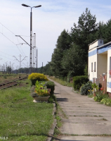 Szczecin Dąbie, linia 351