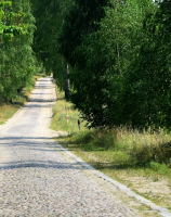 Droga do Wądołka