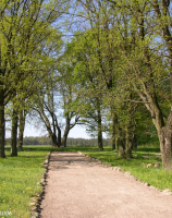 Kikowo, pomnik poległych w I wojnie światowej